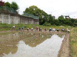 5月25日【田植え2日目】_f0158655_13544028.jpg