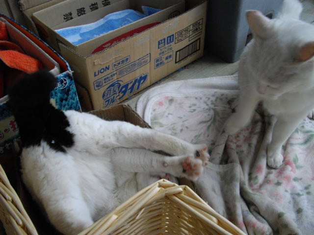 ずっこけた~_d0116059_21261520.jpg