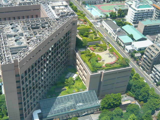 c0100865_6342299.jpg