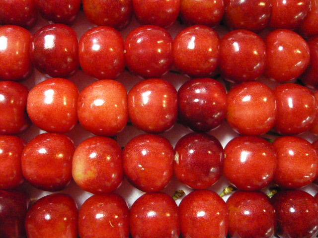 c0100865_644226.jpg