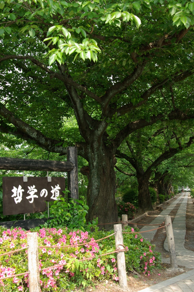 d0148771_8293772.jpg