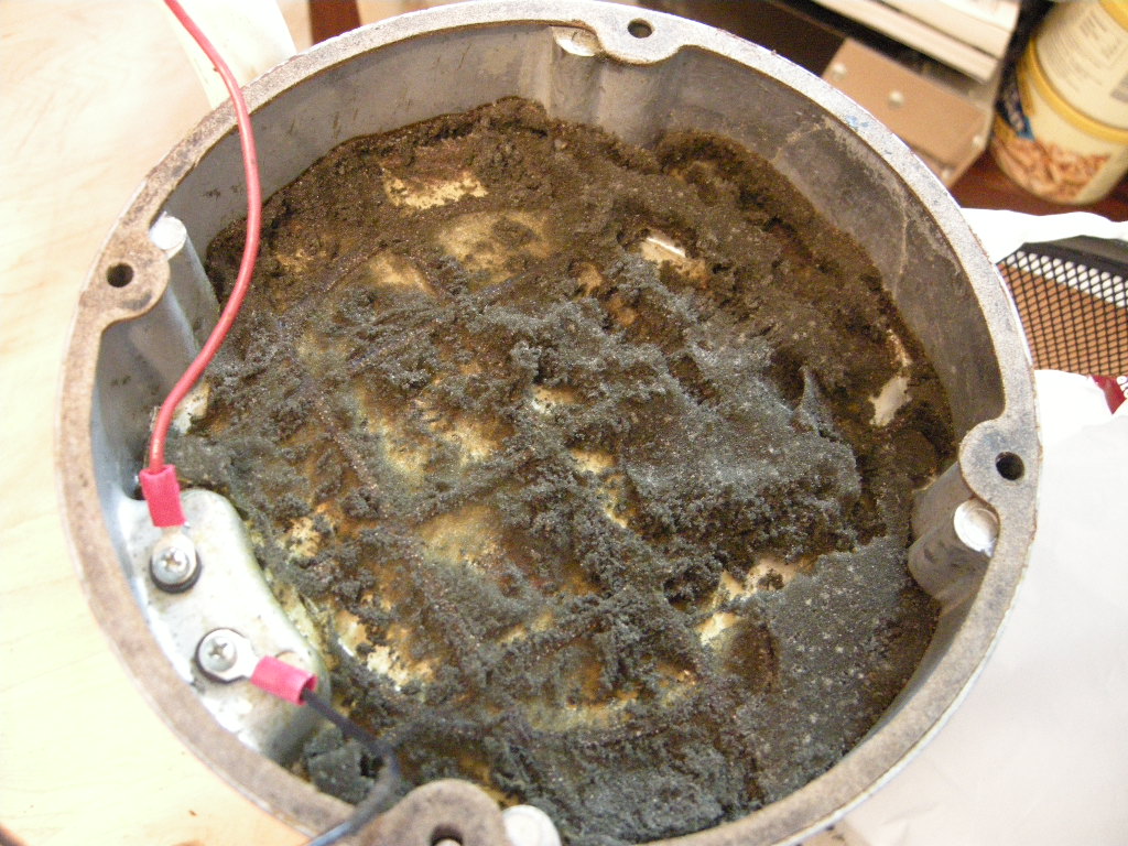 e0122780_17242.jpg