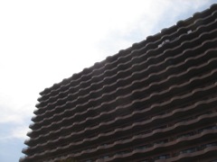 2008年5月26日 いい季節 _b0098584_15123122.jpg