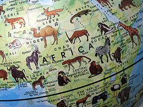 ANIMAL GLOBE_d0153184_1626256.jpg