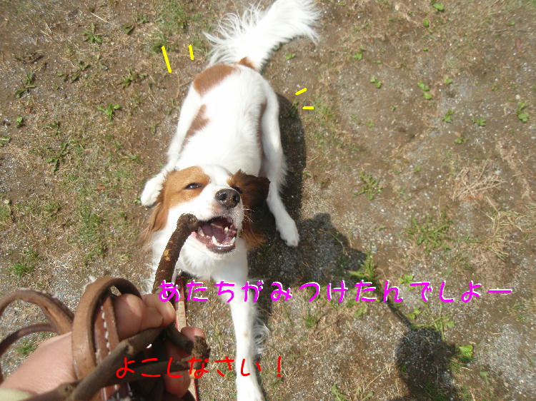 c0075585_139558.jpg
