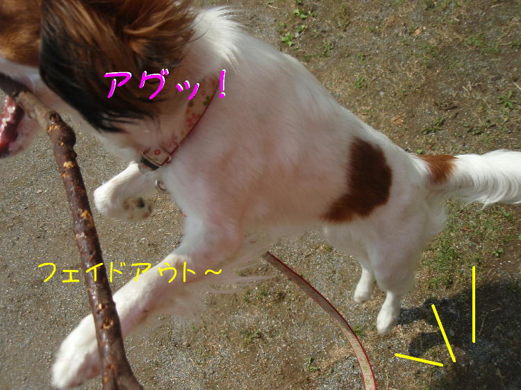 c0075585_1414216.jpg