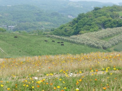 c0108693_2241939.jpg