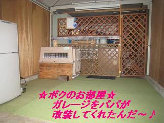ボクのお部屋_f0176499_13433293.jpg