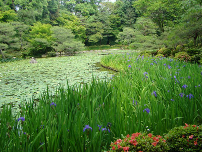 京都へ、おばさんの修学旅行_a0047200_10555763.jpg