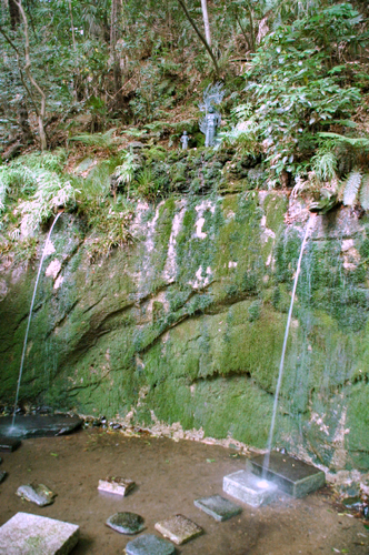 e0083204_23541434.jpg