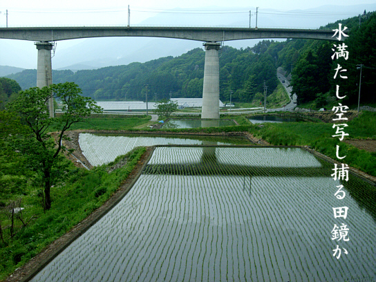 田鏡_e0099713_23562743.jpg