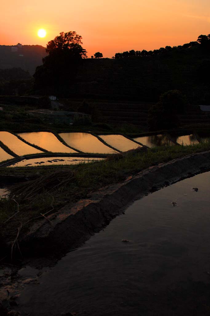 棚田夕景２_d0085715_074968.jpg