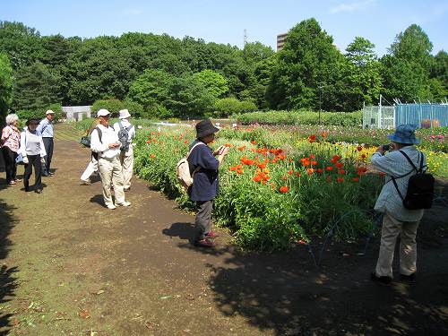 e0117318_14303271.jpg