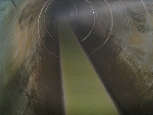 e0117318_16443833.jpg