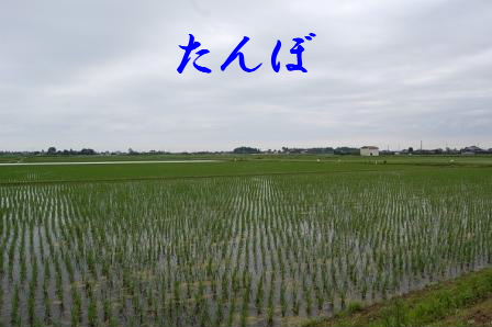 c0130324_0221567.jpg