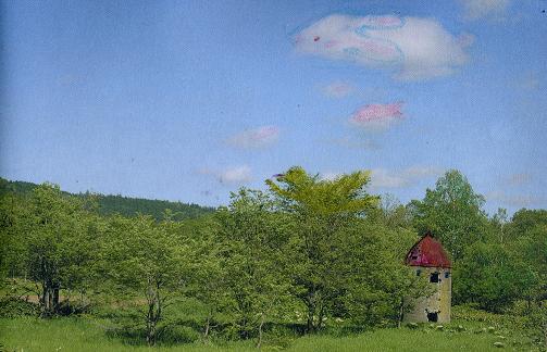 c0098625_82832.jpg
