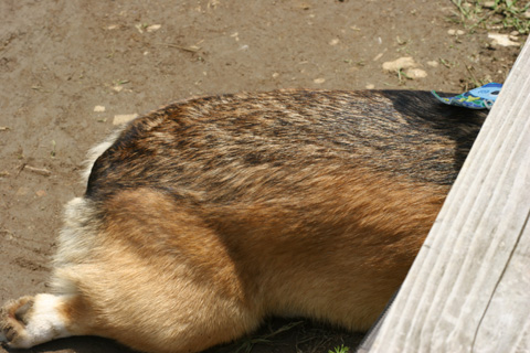 e0071225_1924029.jpg
