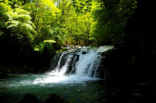 原生林探勝路と大滝_d0102327_11448.jpg