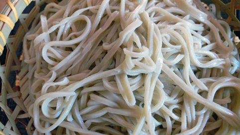 蓬（よもぎ）_e0024944_17204066.jpg
