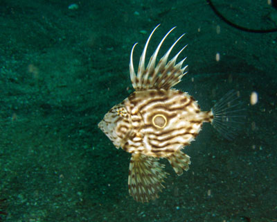 d0058549_161137.jpg