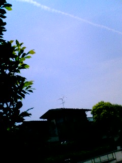 f0172151_1838384.jpg
