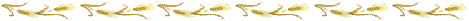 e0096955_18255347.gif