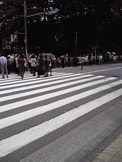 f0052756_6535035.gif