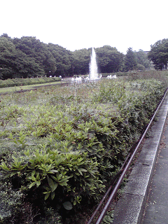 f0052756_743597.gif