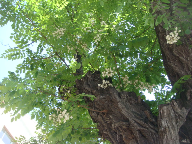 f0036857_20413420.jpg