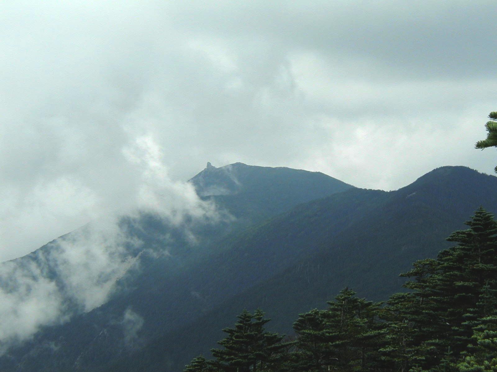 f0161757_19562817.jpg