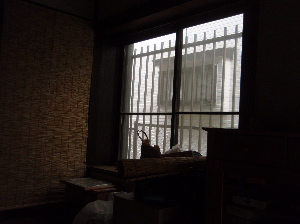 根気が入ります!_f0060262_20165287.jpg