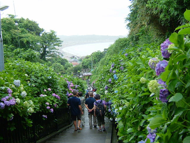 鎌倉旅行2006 22成就院_d0029066_64335.jpg