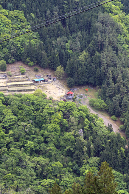 c0054876_18241487.jpg