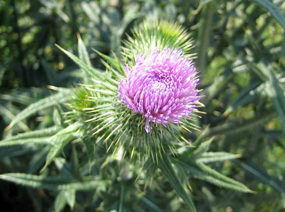 b0057679_7362641.jpg