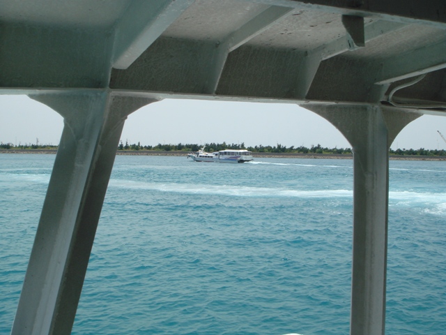c0139388_10831.jpg