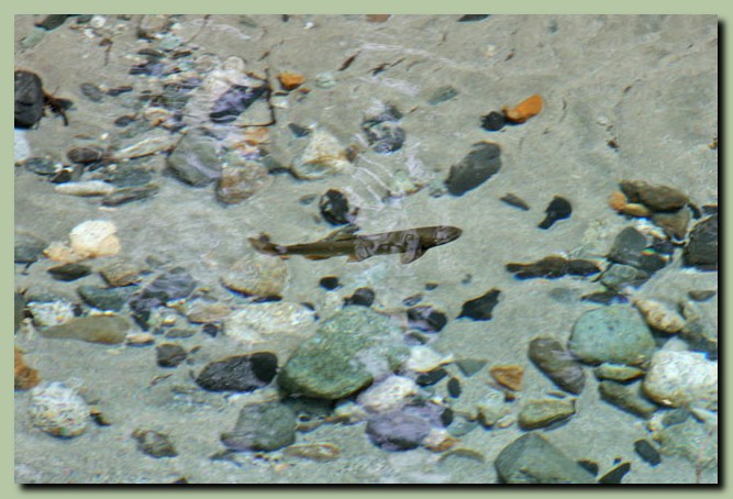 f0079990_9422226.jpg