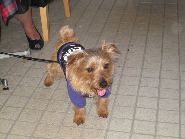 ボクの家族 _f0176499_10245149.jpg