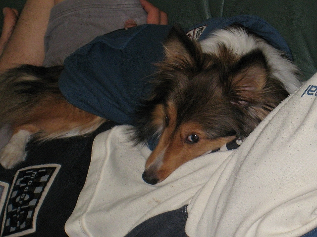 ボクの家族 _f0176499_10343120.jpg