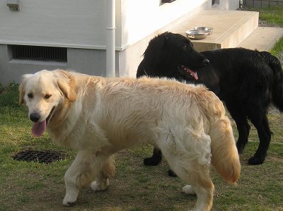 ボクの家族 _f0176499_1051286.jpg