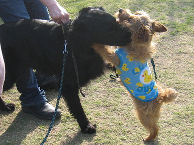 ボクの家族 _f0176499_10535318.jpg