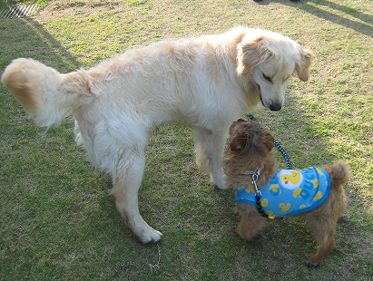 ボクの家族 _f0176499_1054111.jpg