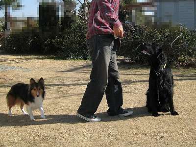 ボクの家族 _f0176499_11473911.jpg