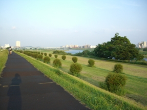 d0141808_793740.jpg