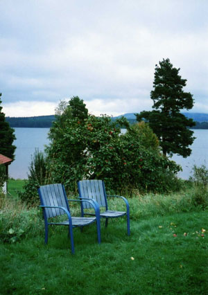 c0140216_20222445.jpg