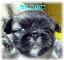 b0078030_0291768.gif