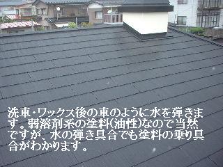 f0031037_16344350.jpg