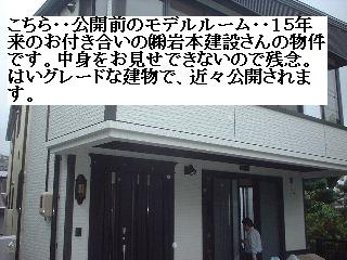 f0031037_1651644.jpg