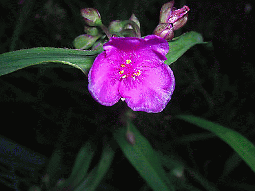 f0031546_2153332.gif