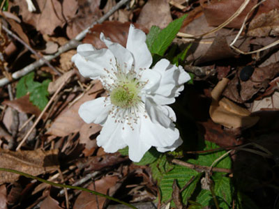 c0127748_9124090.jpg