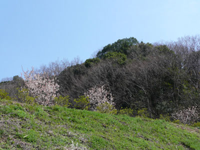 c0127748_912485.jpg
